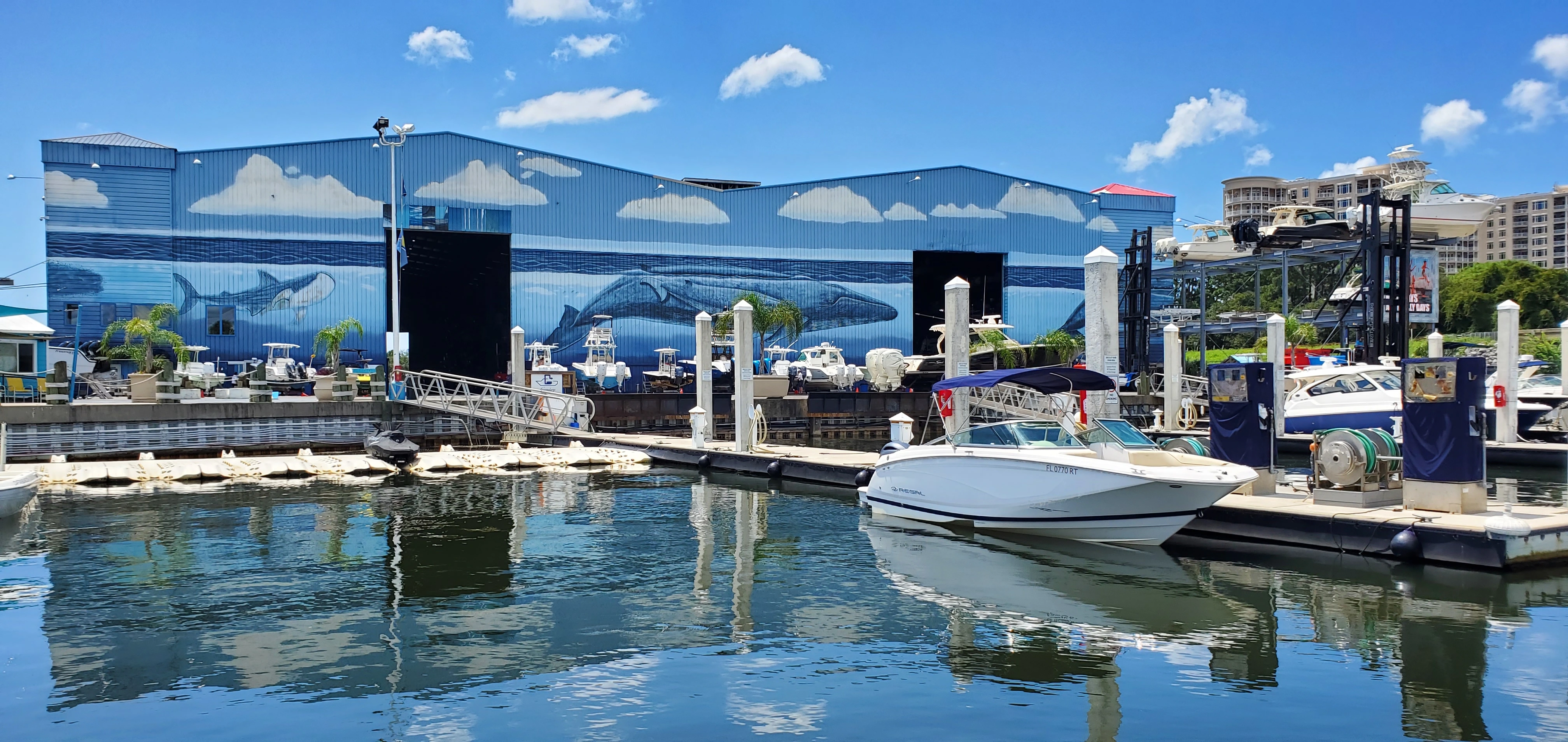 Here are the latest news updates from Marinalife on all things happening this Winter season.